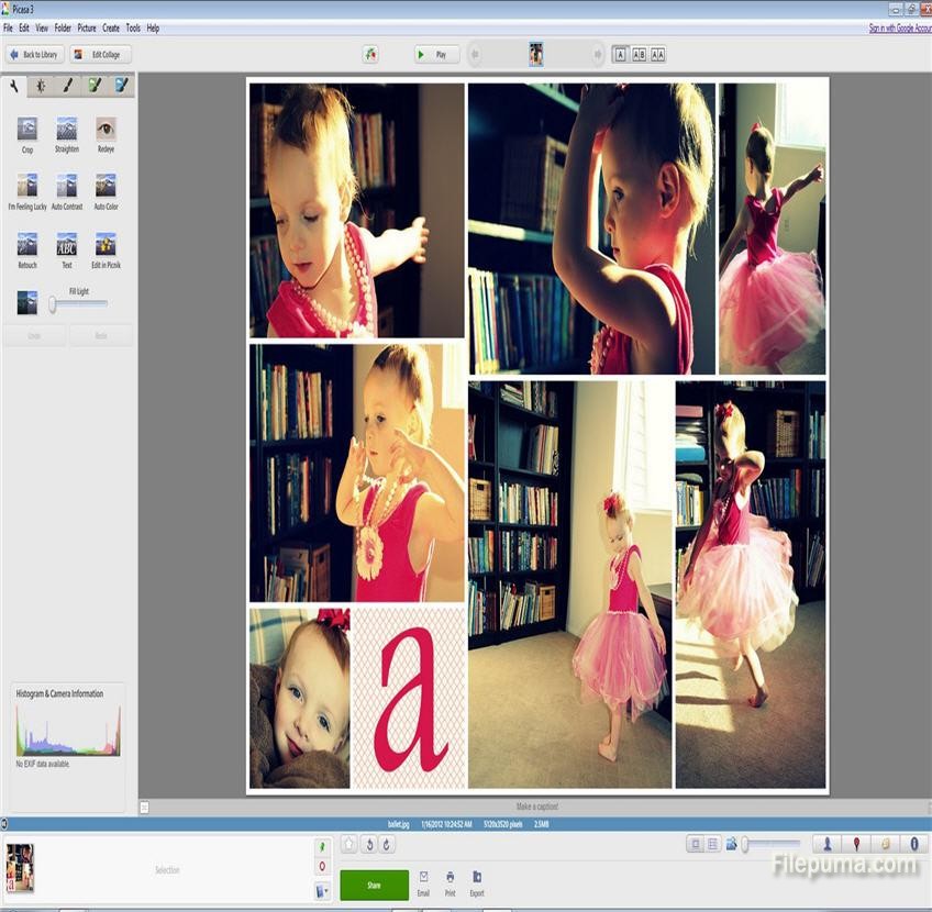 Picture3