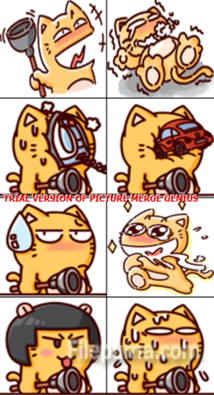 7