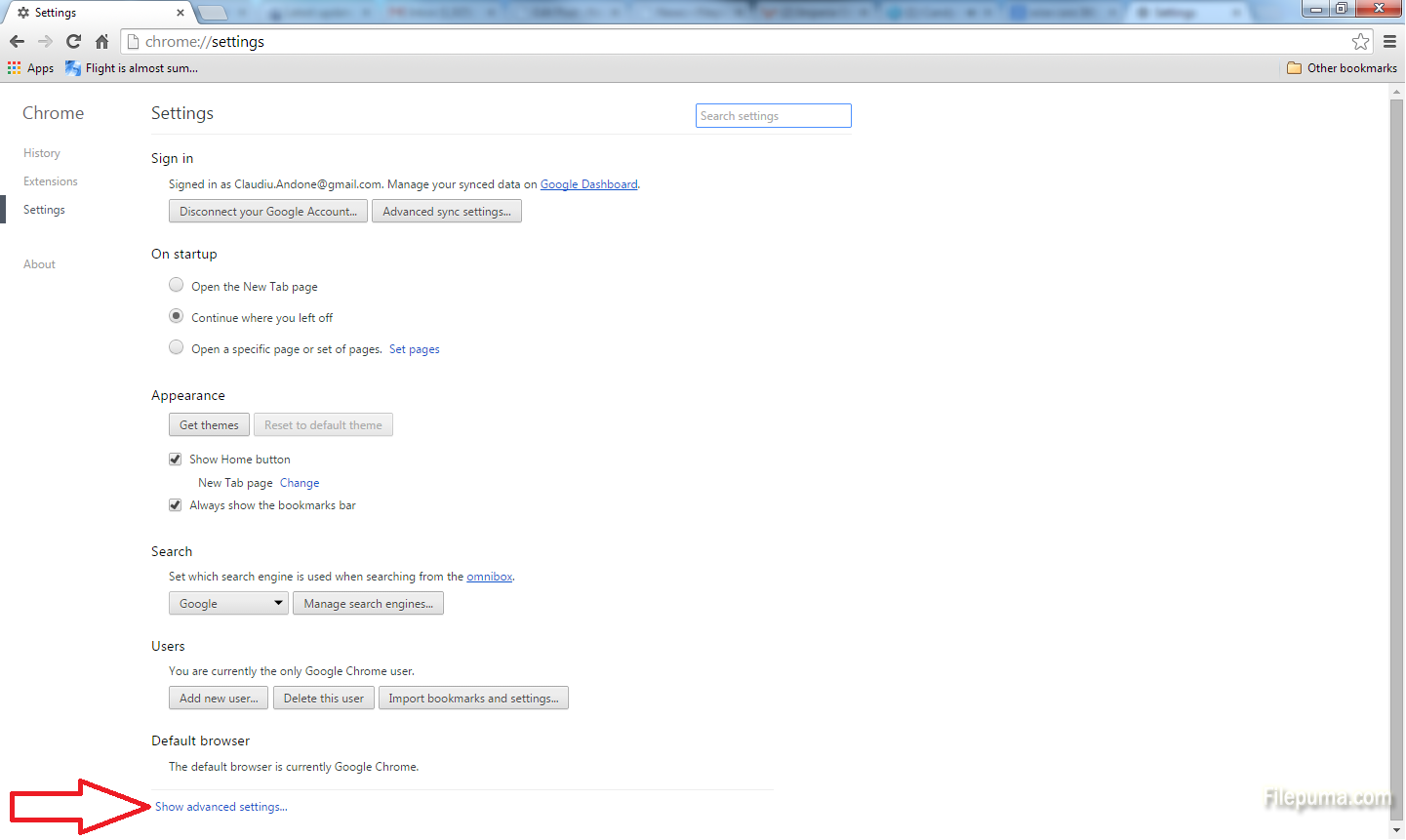Google Chrome 4