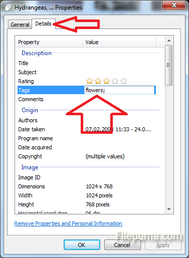 Photo viewer Win 7 3