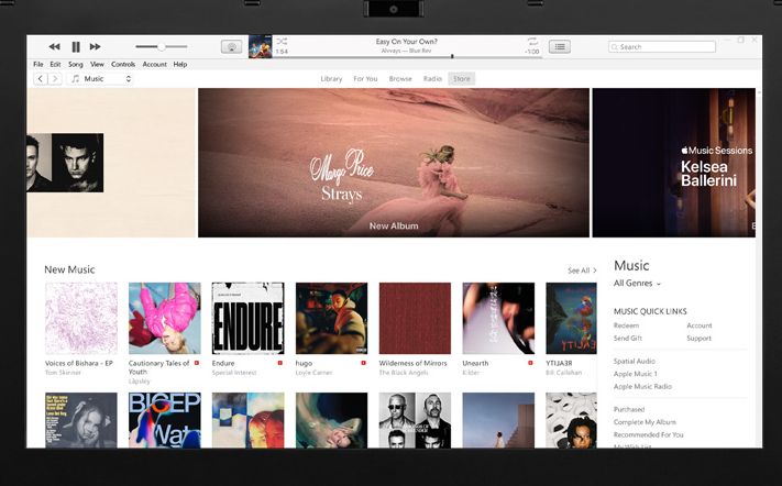 iTunes